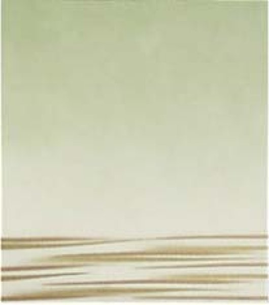 画像1: 大色紙　鳥の子　あけぼの　薄緑 (1)