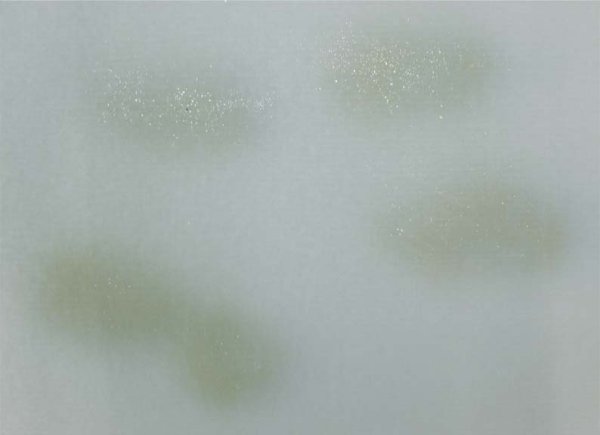 画像2: 料紙 全懐紙 羅紋 全体ぼかし砂子入10枚 (2)