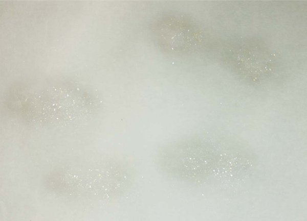 画像2: 料紙　全懐紙　純楮紙　全体ぼかし砂子入10枚 (2)