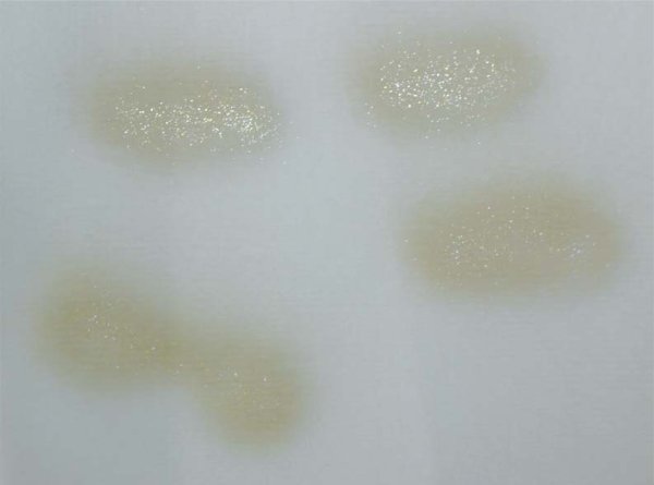 画像4: 料紙 全懐紙 羅紋 全体ぼかし砂子入10枚 (4)