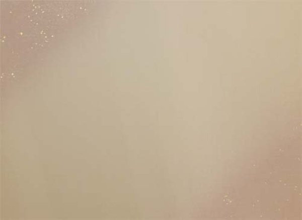 画像2: 料紙 全懐紙 羅紋 斜ぼかし砂子入10枚 (2)