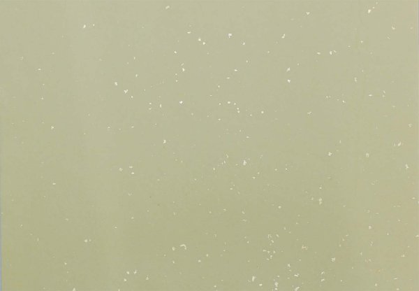 画像8: 半紙　冷金宣10色セット　100枚 (8)