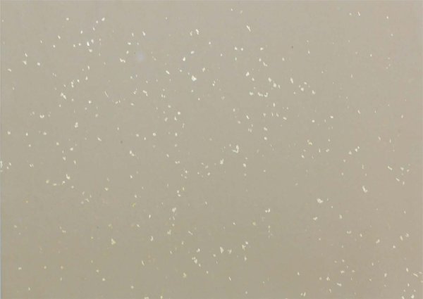 画像9: 半紙　冷金宣10色セット　100枚 (9)