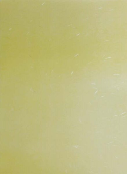 画像4: 料紙 曲水 中字 全懐紙判 作品用25枚 (4)