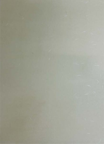 画像4: 料紙 曲水 中字 半紙判 作品用50枚 (4)