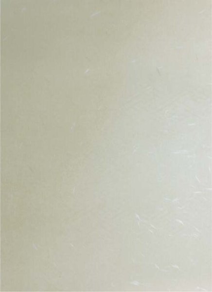 画像5: 料紙　曲水　中字　半懐紙判　作品用50枚 (5)