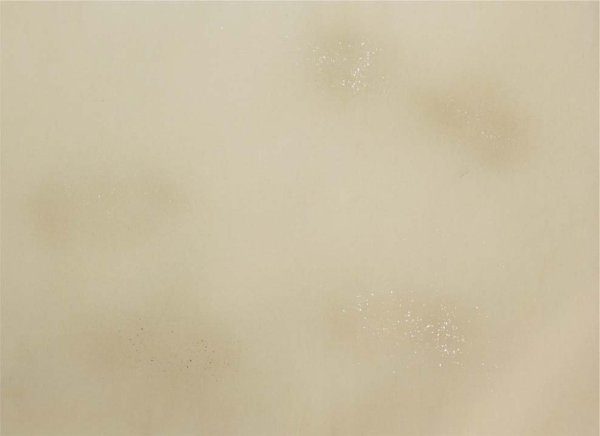 画像4: 料紙 鳥の子具引 全懐紙判 全体ぼかし砂子入10枚 (4)