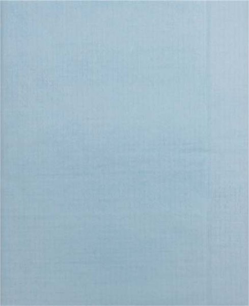 画像1: 羅紋　水色　漢字用1.75×7.5尺10枚　手漉色付画仙紙 (1)