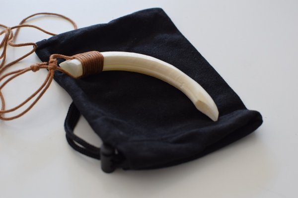 画像2: 猪牙(ちょき) (2)