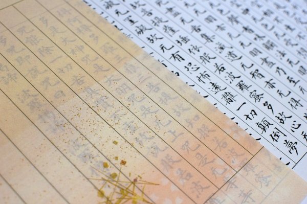 画像4: 夕桐写経用紙NO.5 色付き (4)