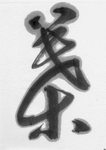 画像2: 添加用墨 茜稜 茶系 (2)