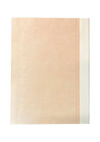 画像1: 半切　豊水　2色斜ぼかし　10枚　漢字用加工紙　色画仙紙 (1)